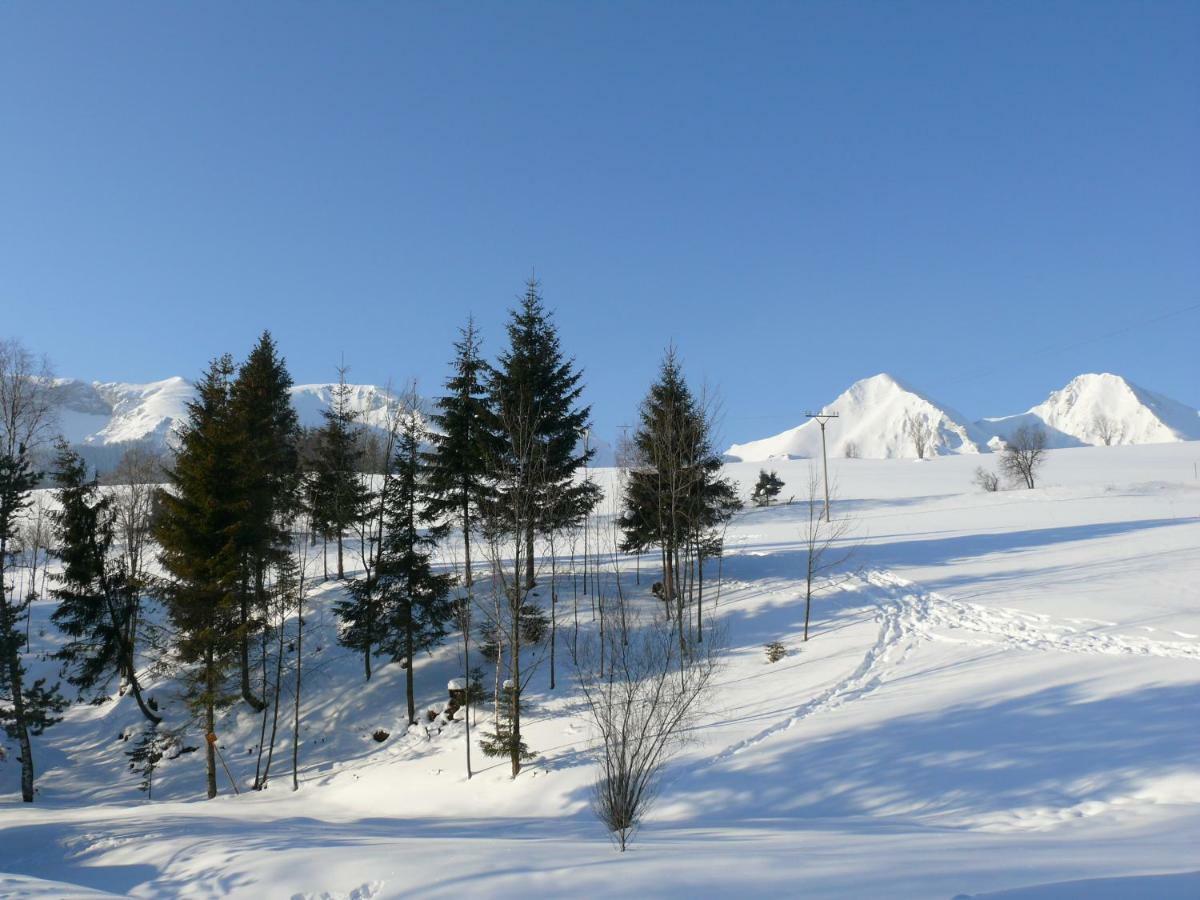 Goralska Obora Guest House Zdiar Ngoại thất bức ảnh